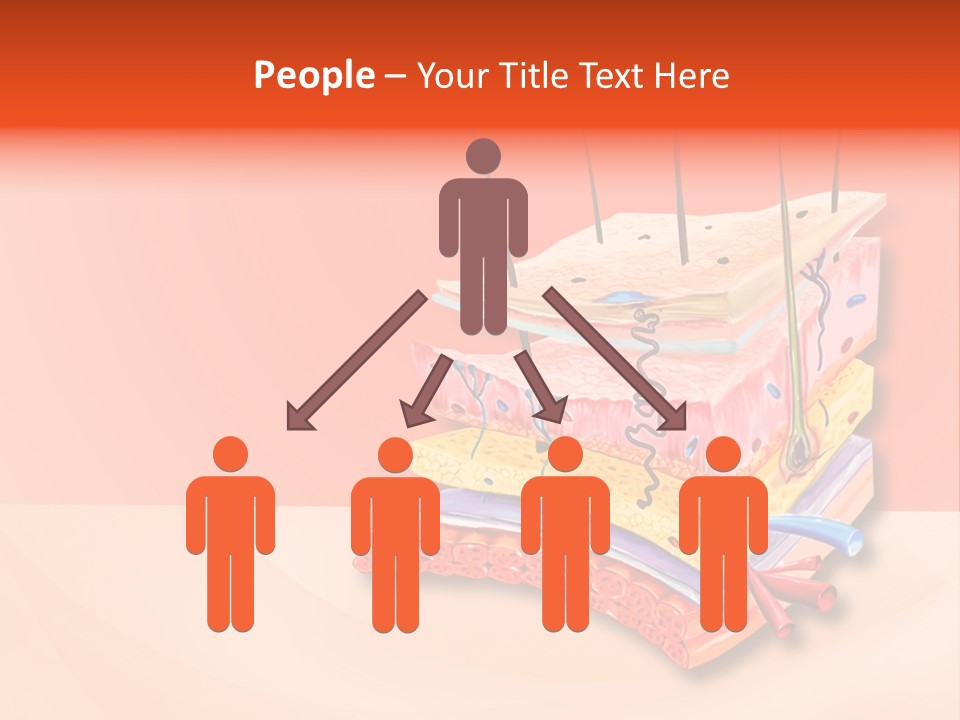 Mu Cle Haft Medical PowerPoint Template