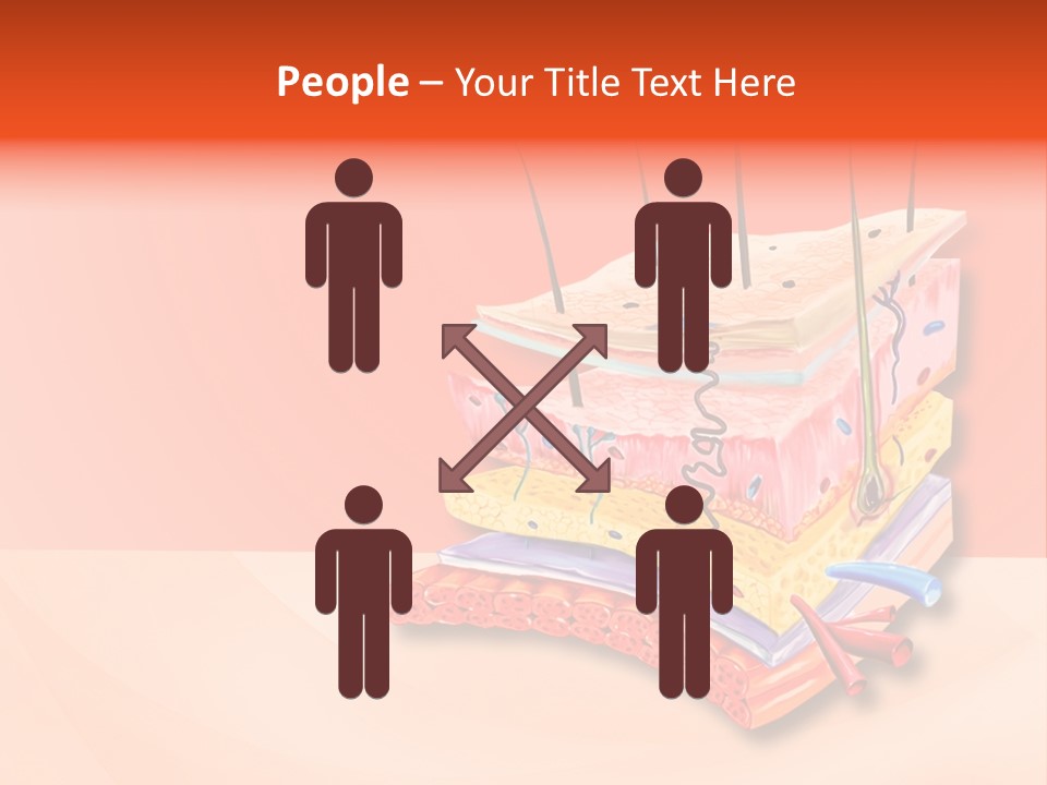 Mu Cle Haft Medical PowerPoint Template