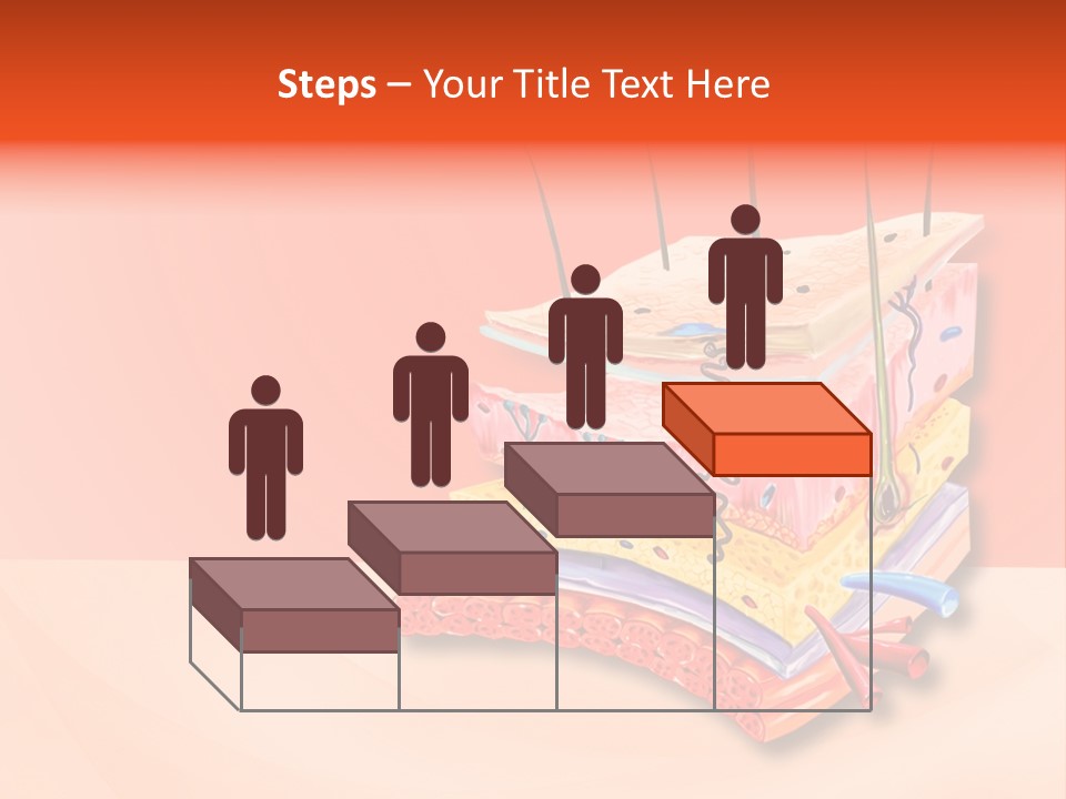 Mu Cle Haft Medical PowerPoint Template