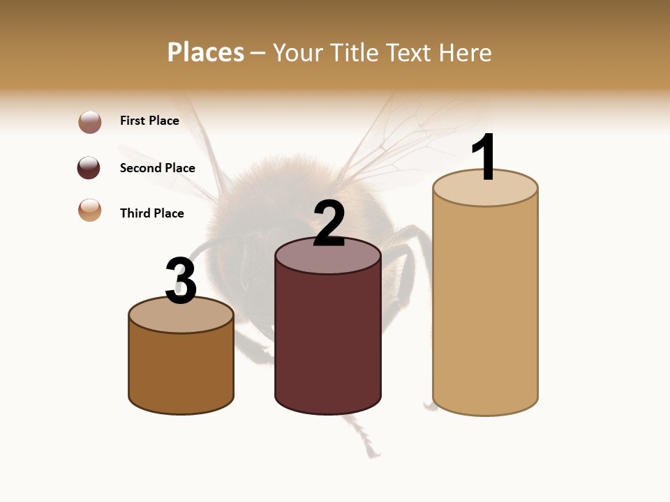 Wing Background Honey PowerPoint Template