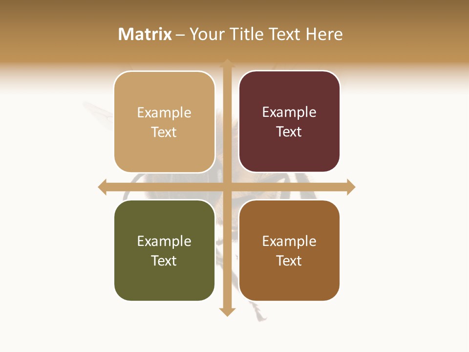 Wing Background Honey PowerPoint Template