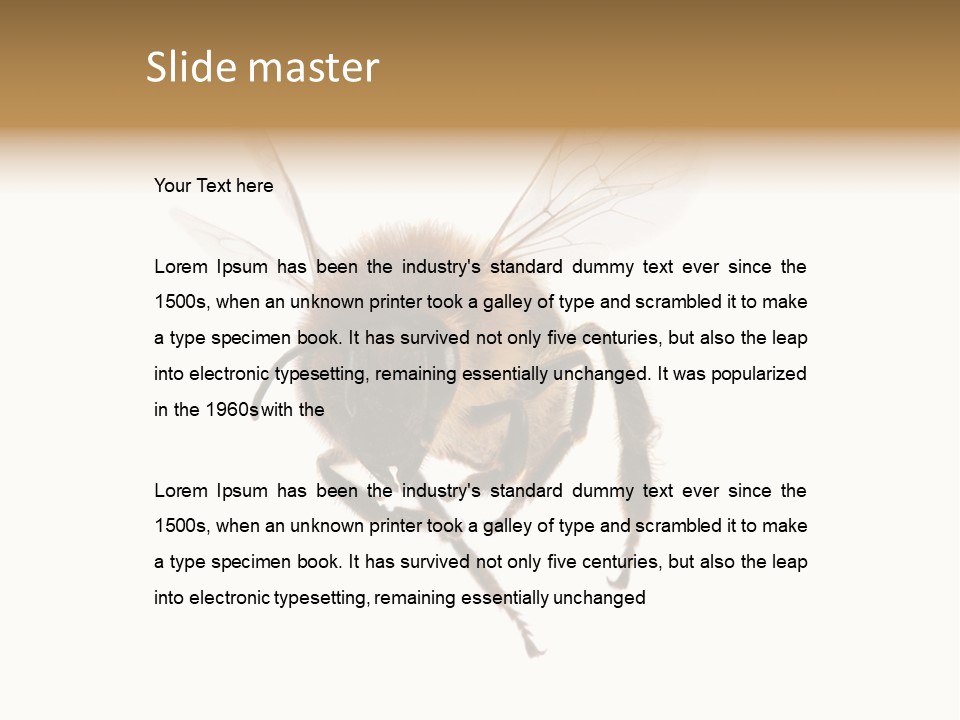 Wing Background Honey PowerPoint Template