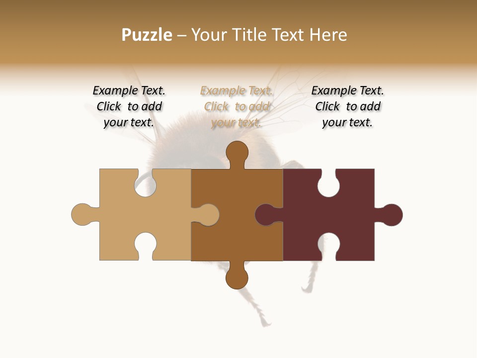 Wing Background Honey PowerPoint Template