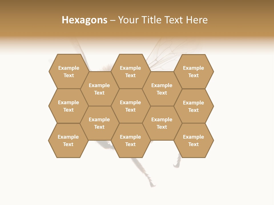 Wing Background Honey PowerPoint Template