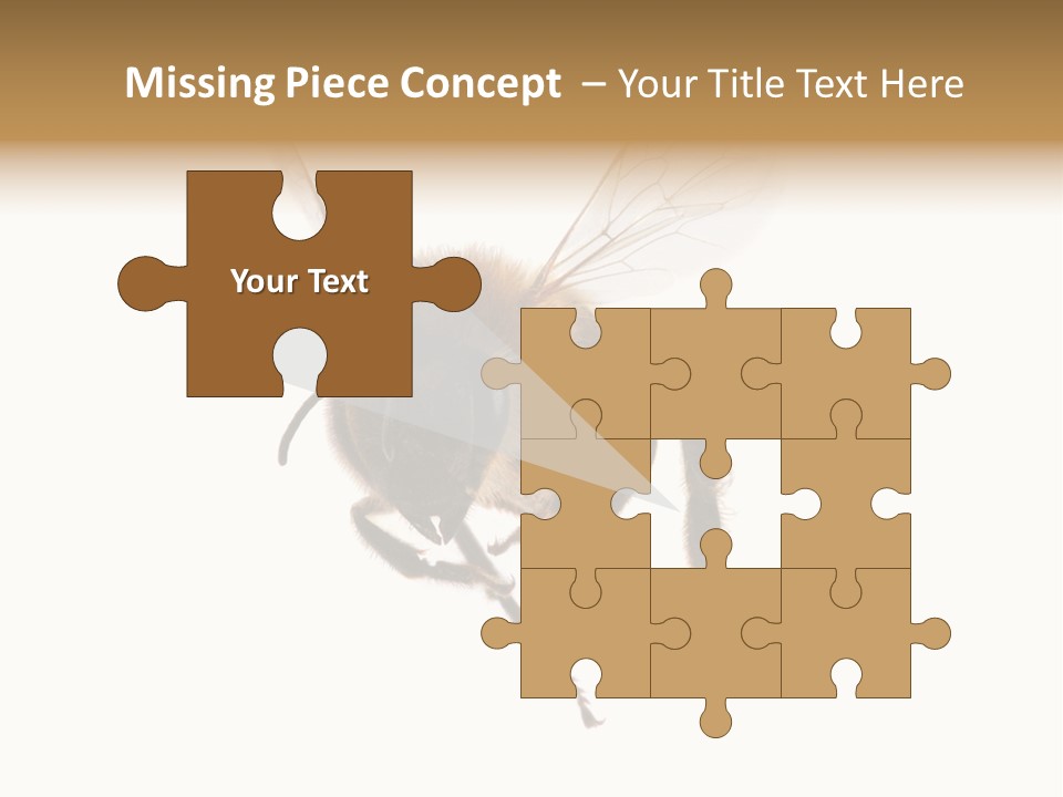 Wing Background Honey PowerPoint Template
