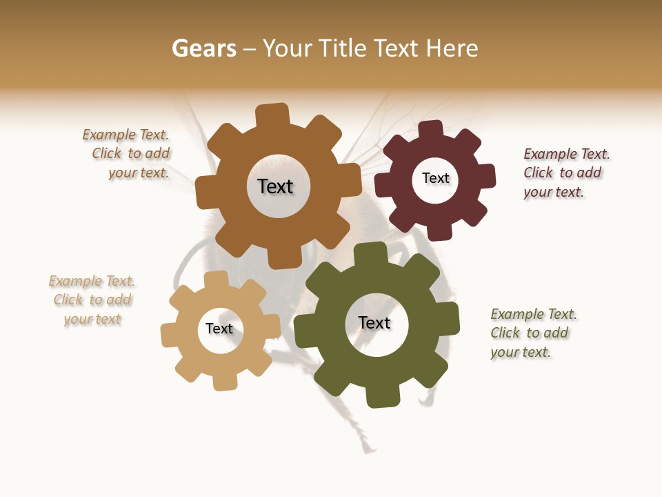 Wing Background Honey PowerPoint Template