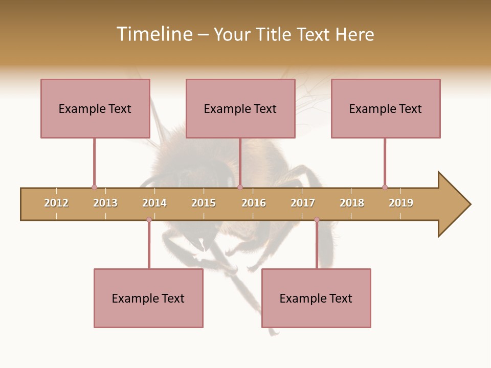 Wing Background Honey PowerPoint Template