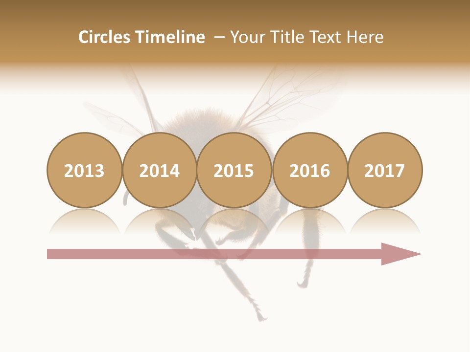 Wing Background Honey PowerPoint Template