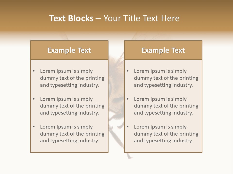 Wing Background Honey PowerPoint Template