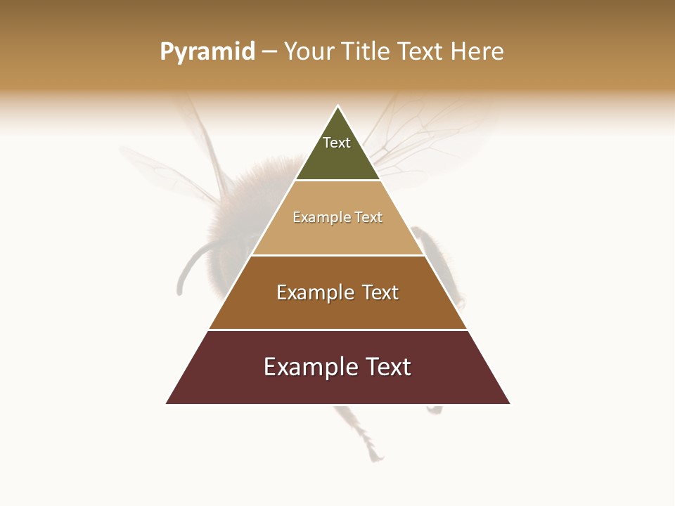 Wing Background Honey PowerPoint Template