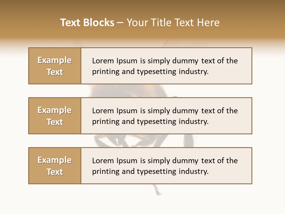Wing Background Honey PowerPoint Template