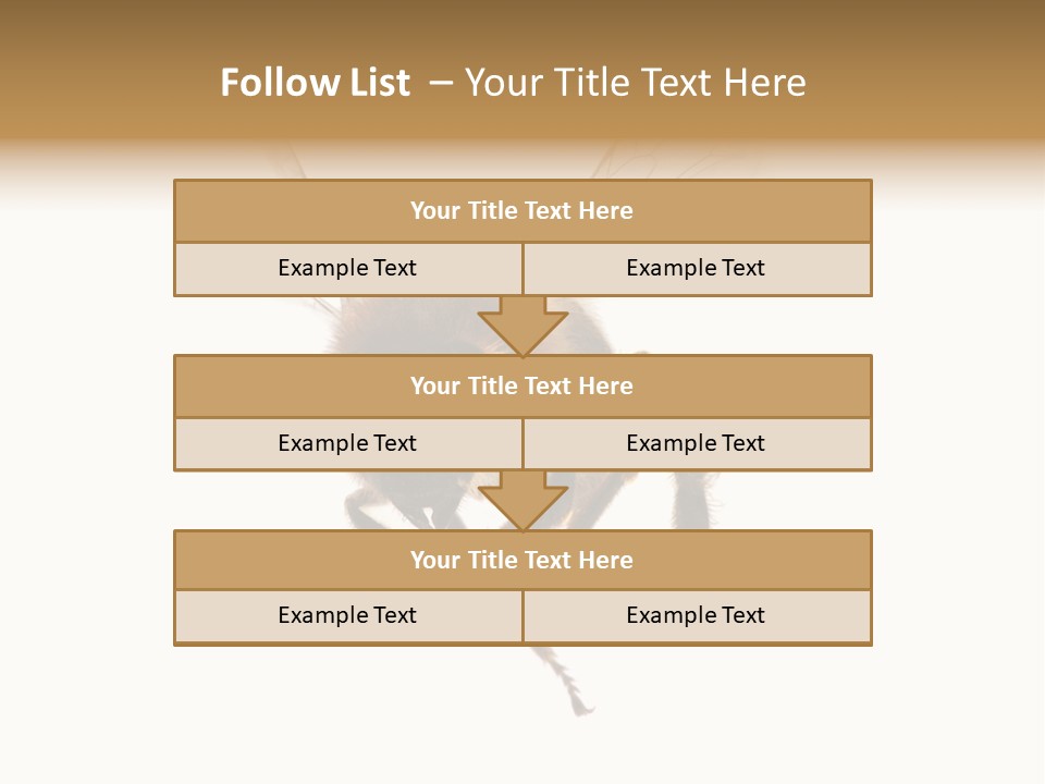 Wing Background Honey PowerPoint Template