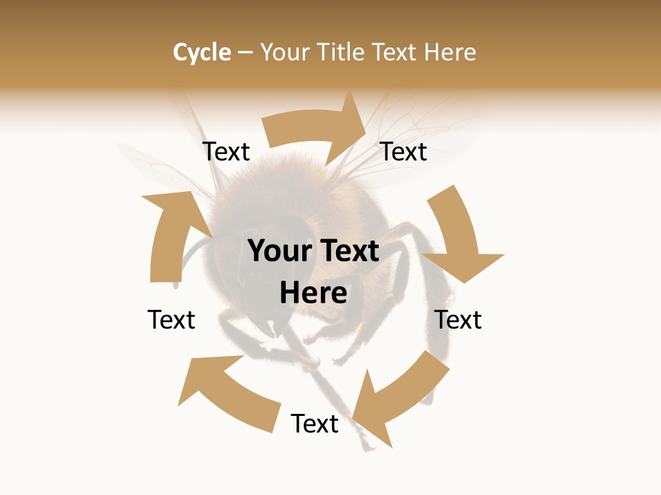 Wing Background Honey PowerPoint Template
