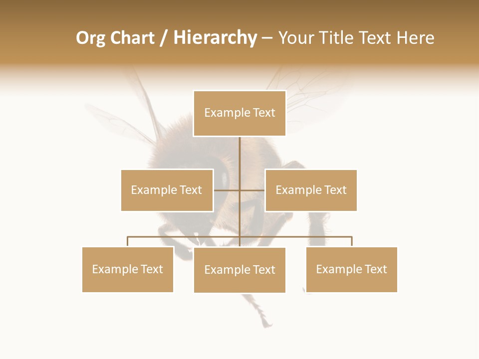 Wing Background Honey PowerPoint Template