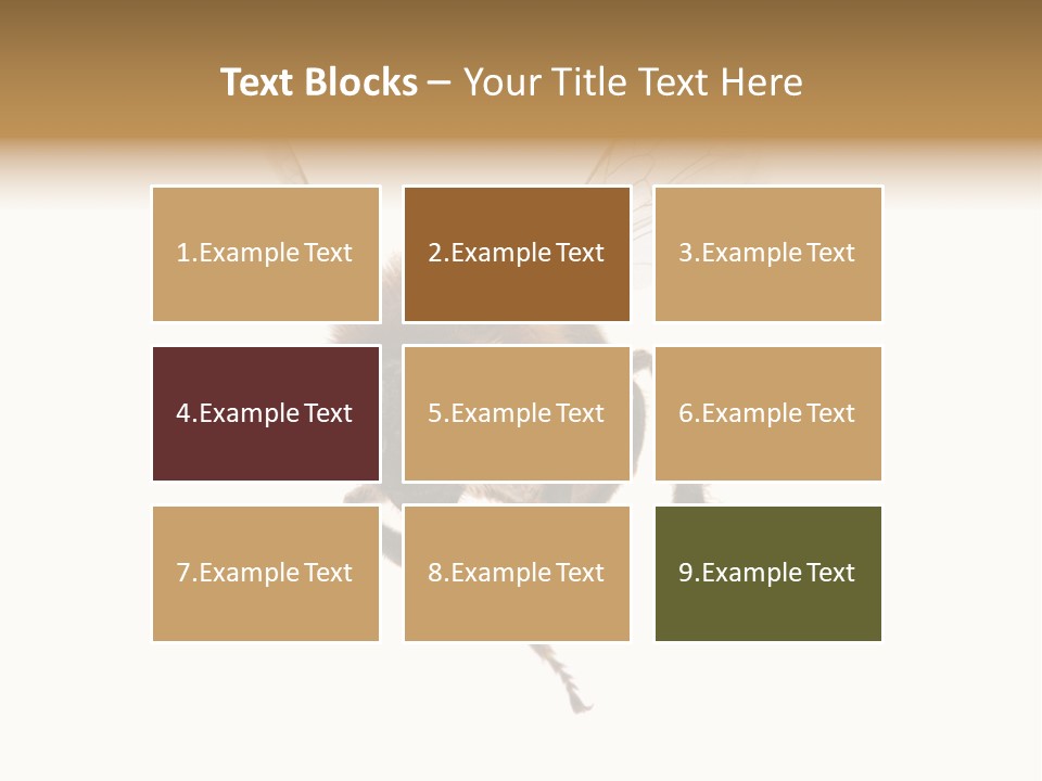 Wing Background Honey PowerPoint Template