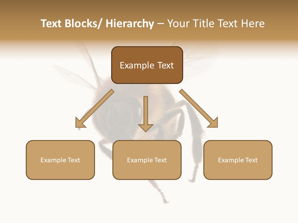 Wing Background Honey PowerPoint Template