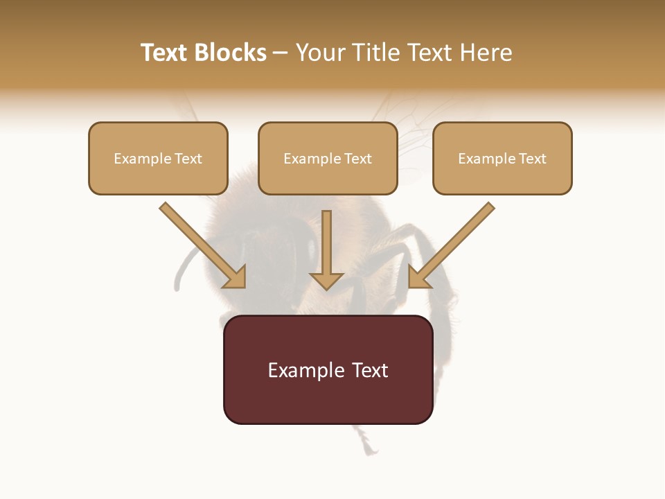 Wing Background Honey PowerPoint Template