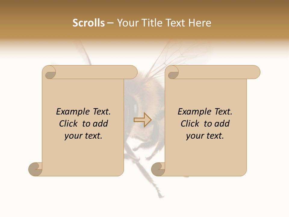 Wing Background Honey PowerPoint Template