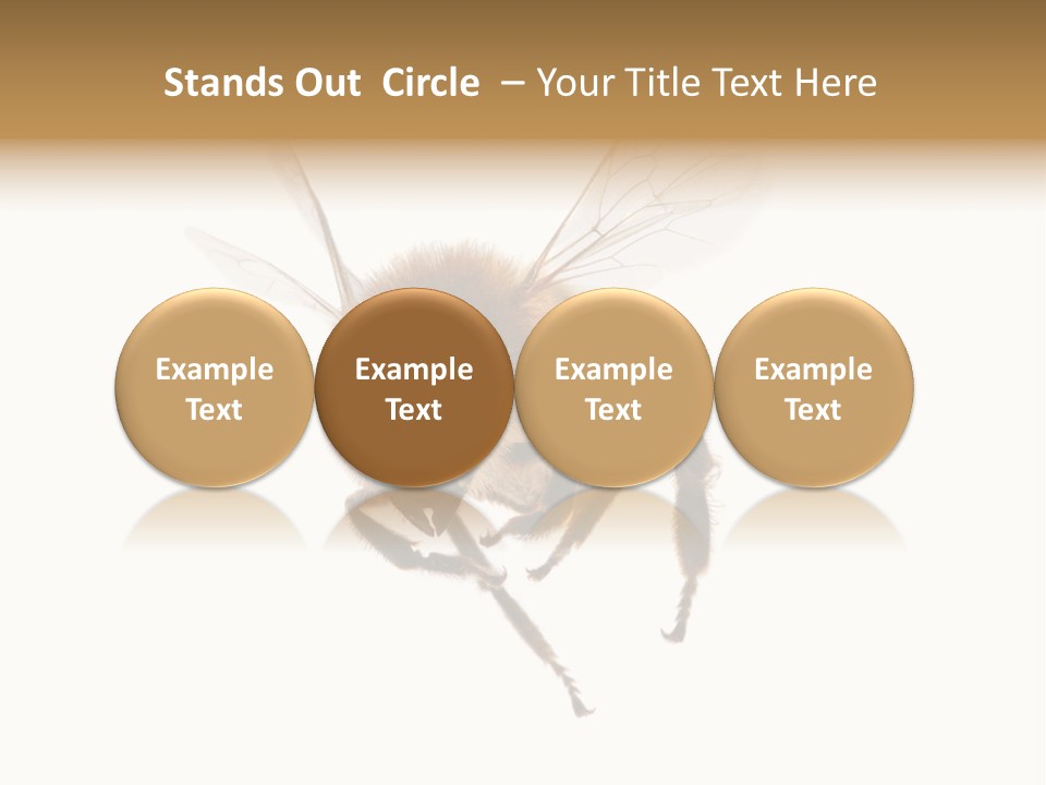 Wing Background Honey PowerPoint Template