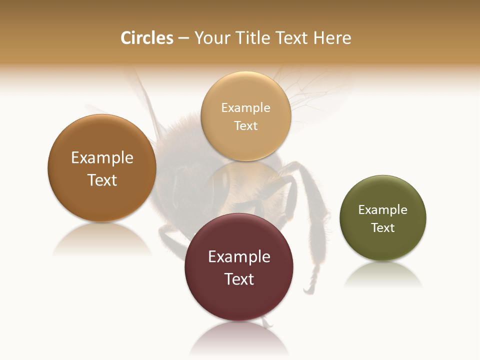 Wing Background Honey PowerPoint Template