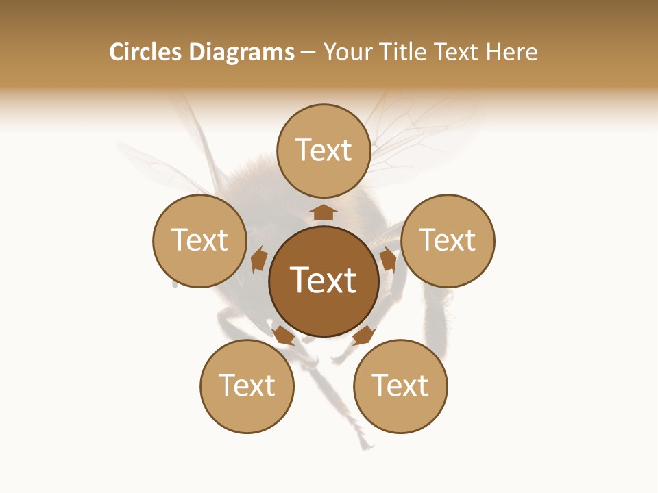 Wing Background Honey PowerPoint Template