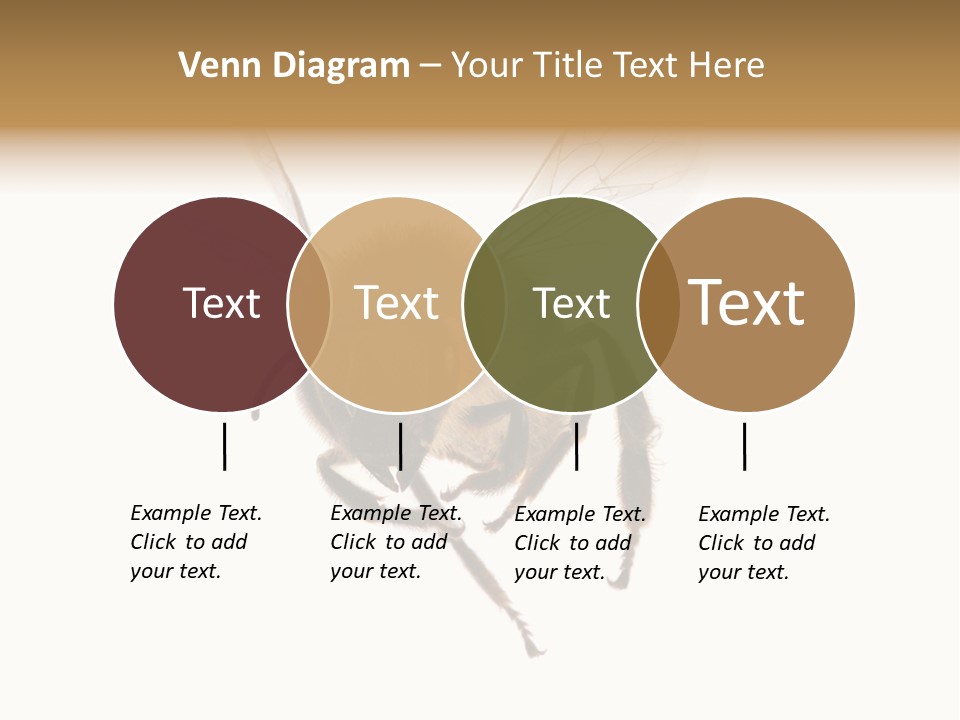 Wing Background Honey PowerPoint Template