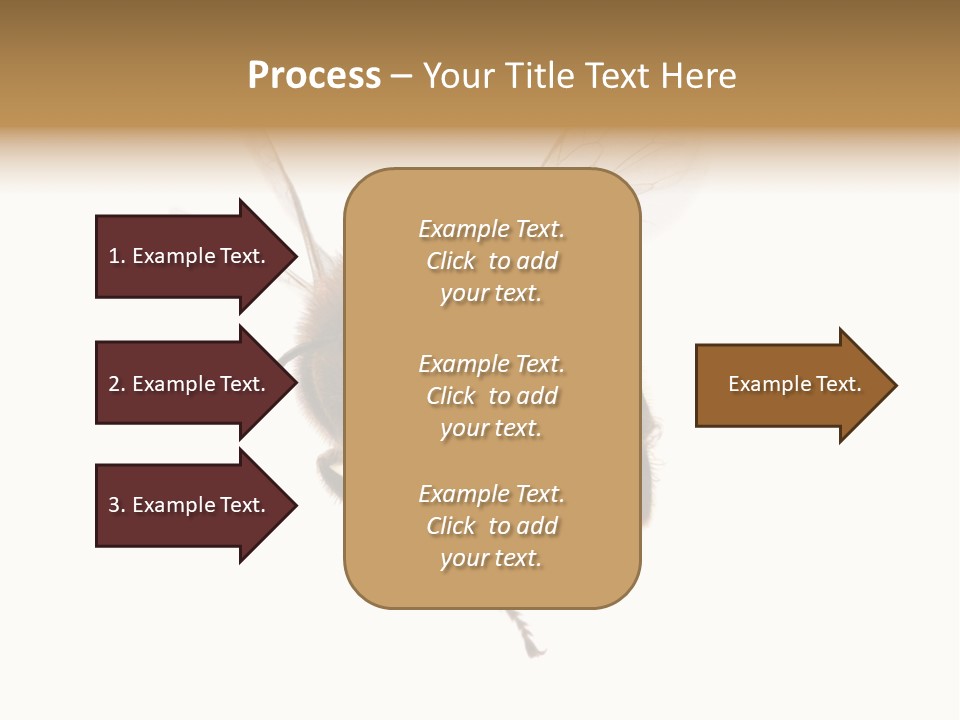 Wing Background Honey PowerPoint Template