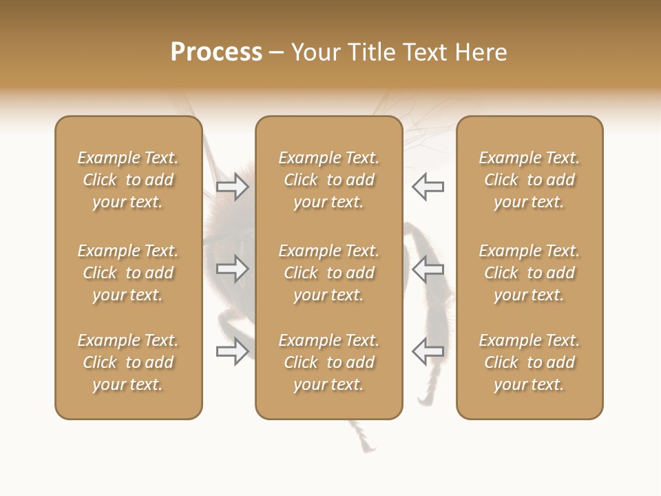 Wing Background Honey PowerPoint Template
