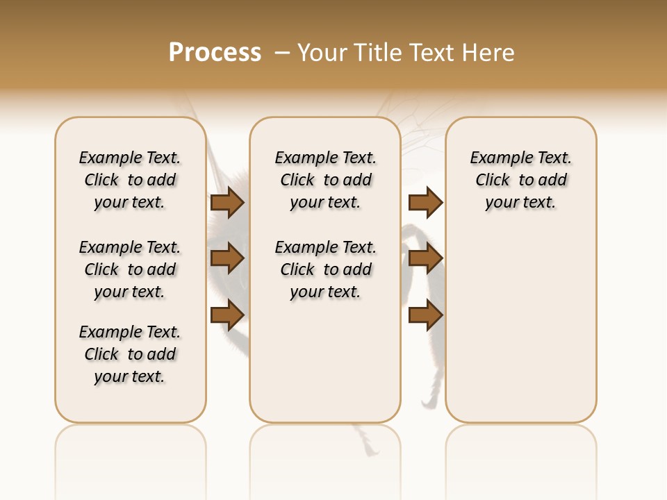 Wing Background Honey PowerPoint Template