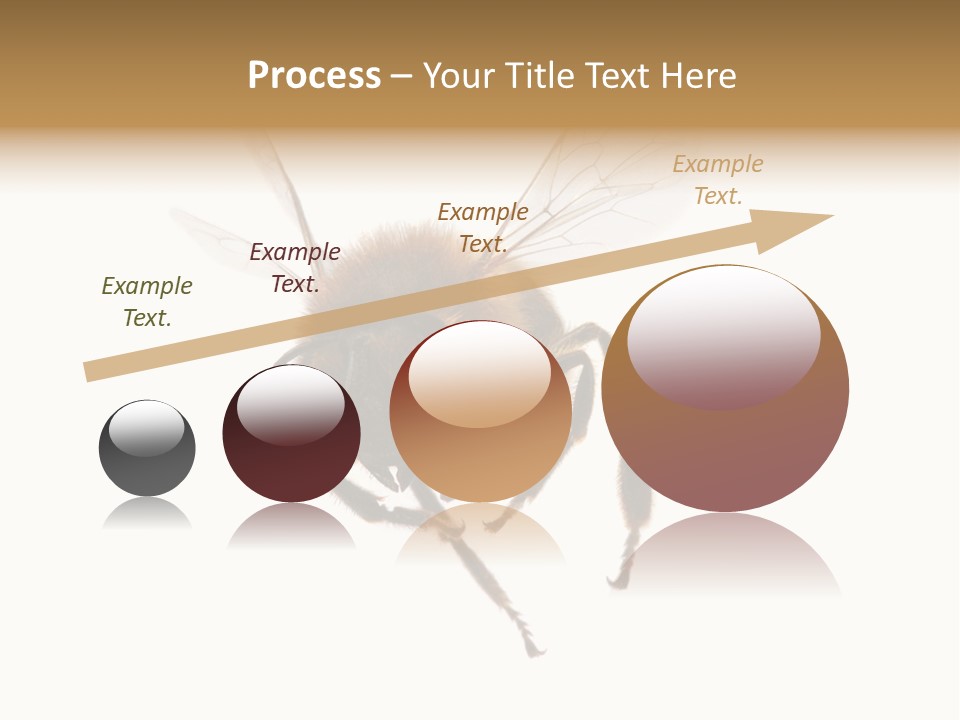 Wing Background Honey PowerPoint Template