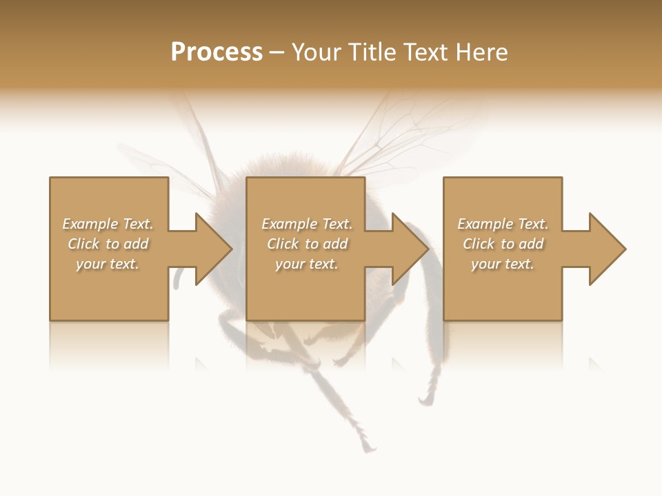 Wing Background Honey PowerPoint Template