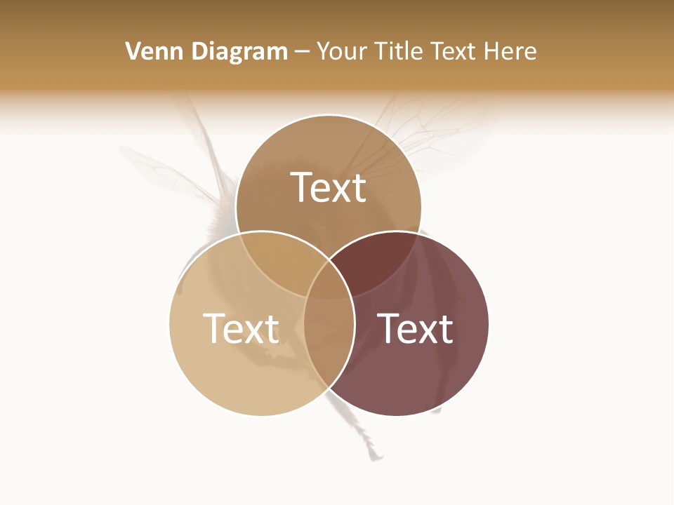Wing Background Honey PowerPoint Template