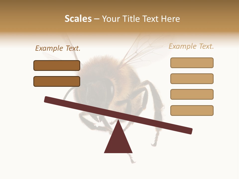Wing Background Honey PowerPoint Template