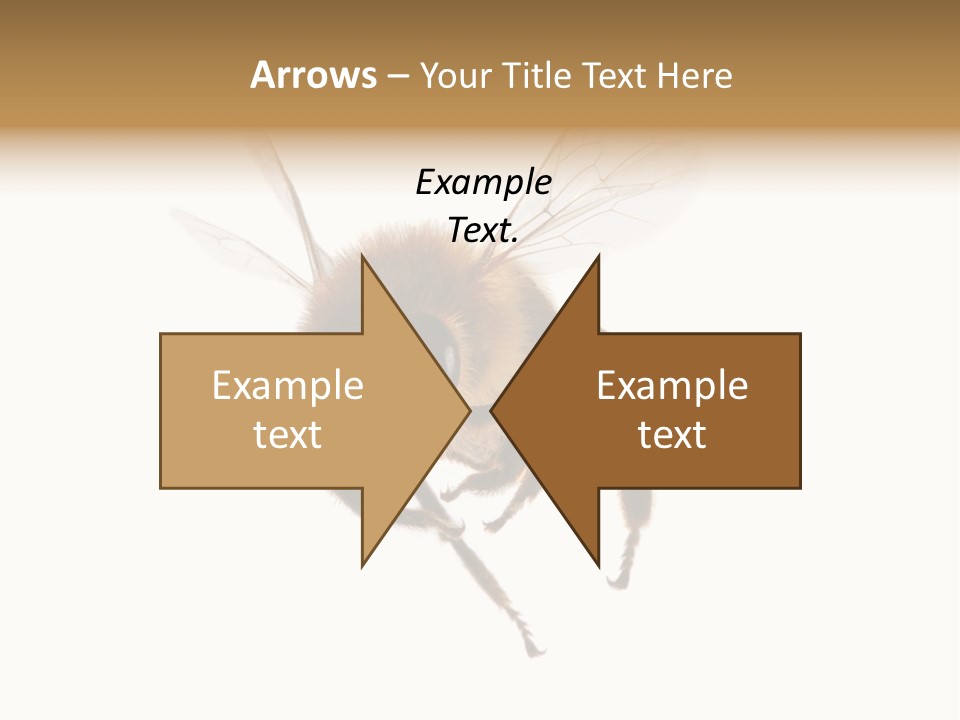 Wing Background Honey PowerPoint Template