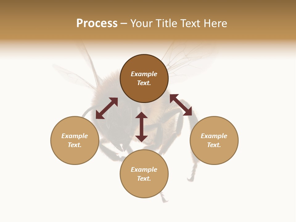 Wing Background Honey PowerPoint Template