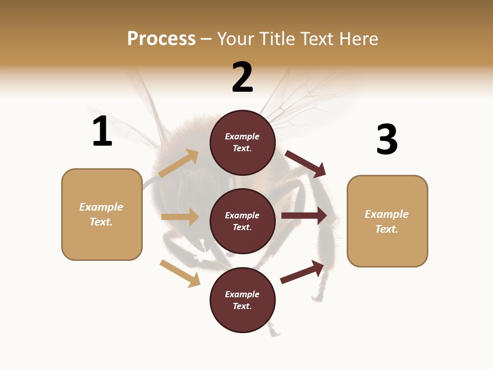Wing Background Honey PowerPoint Template