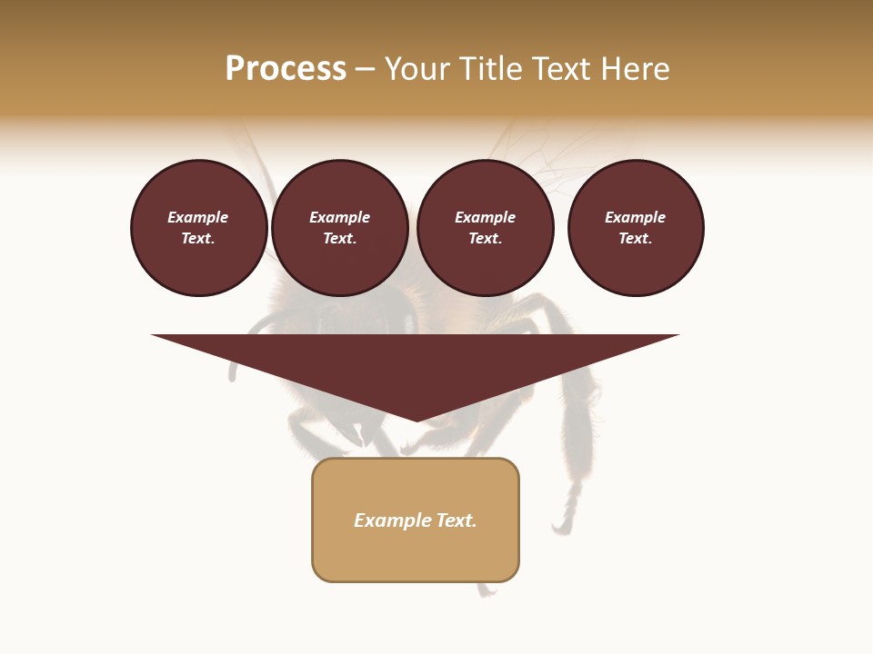 Wing Background Honey PowerPoint Template