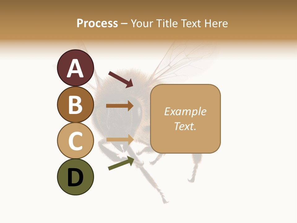 Wing Background Honey PowerPoint Template