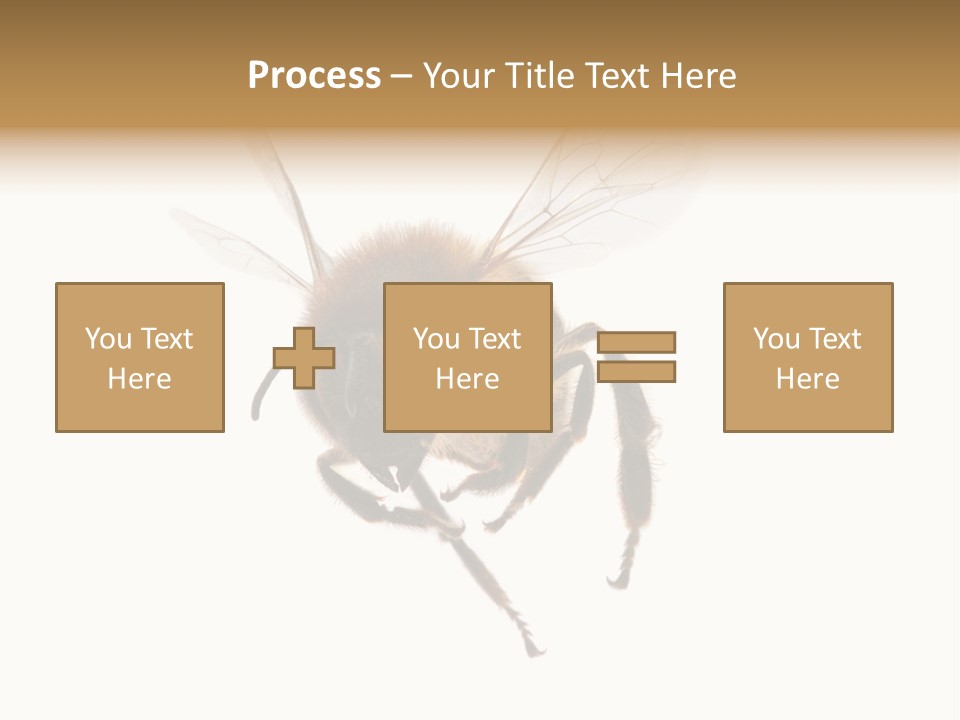 Wing Background Honey PowerPoint Template