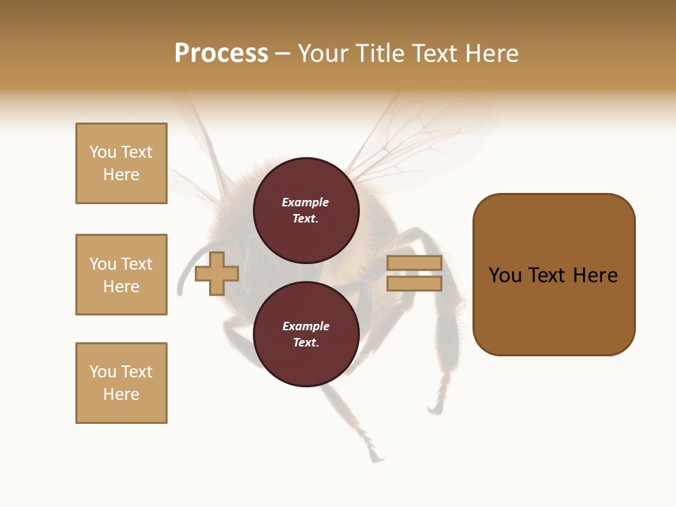 Wing Background Honey PowerPoint Template