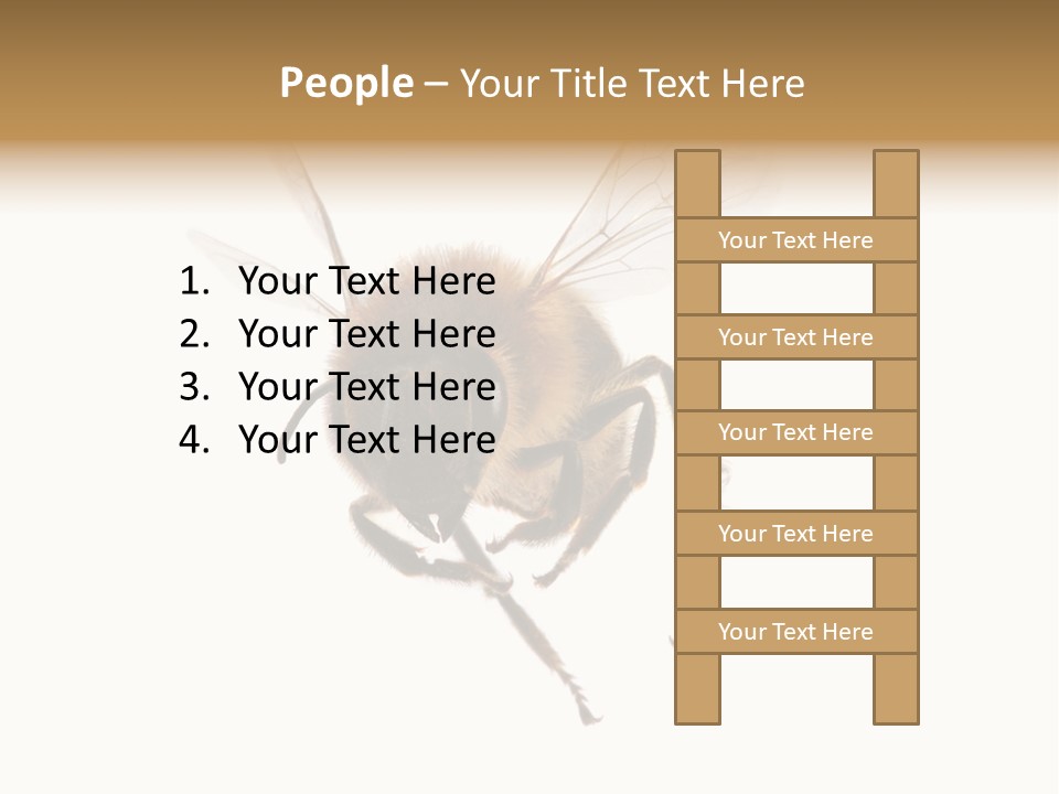 Wing Background Honey PowerPoint Template