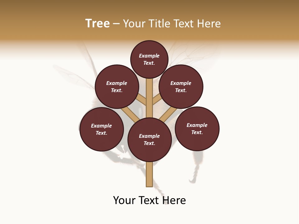 Wing Background Honey PowerPoint Template