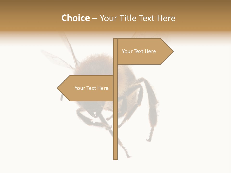 Wing Background Honey PowerPoint Template