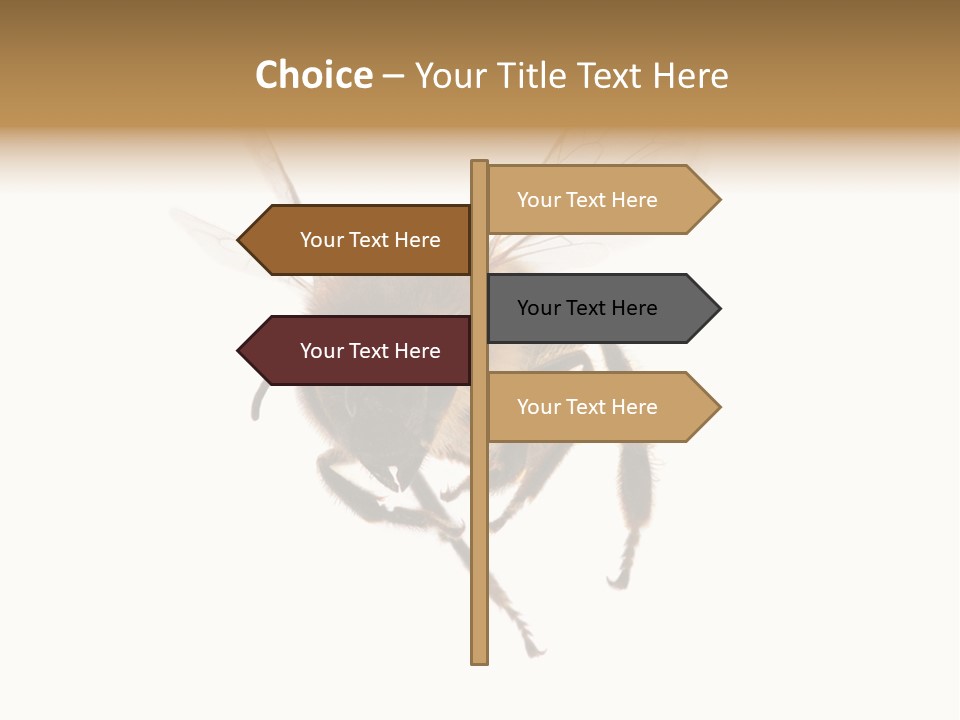 Wing Background Honey PowerPoint Template