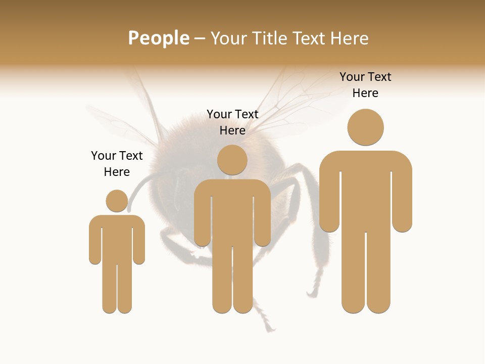 Wing Background Honey PowerPoint Template