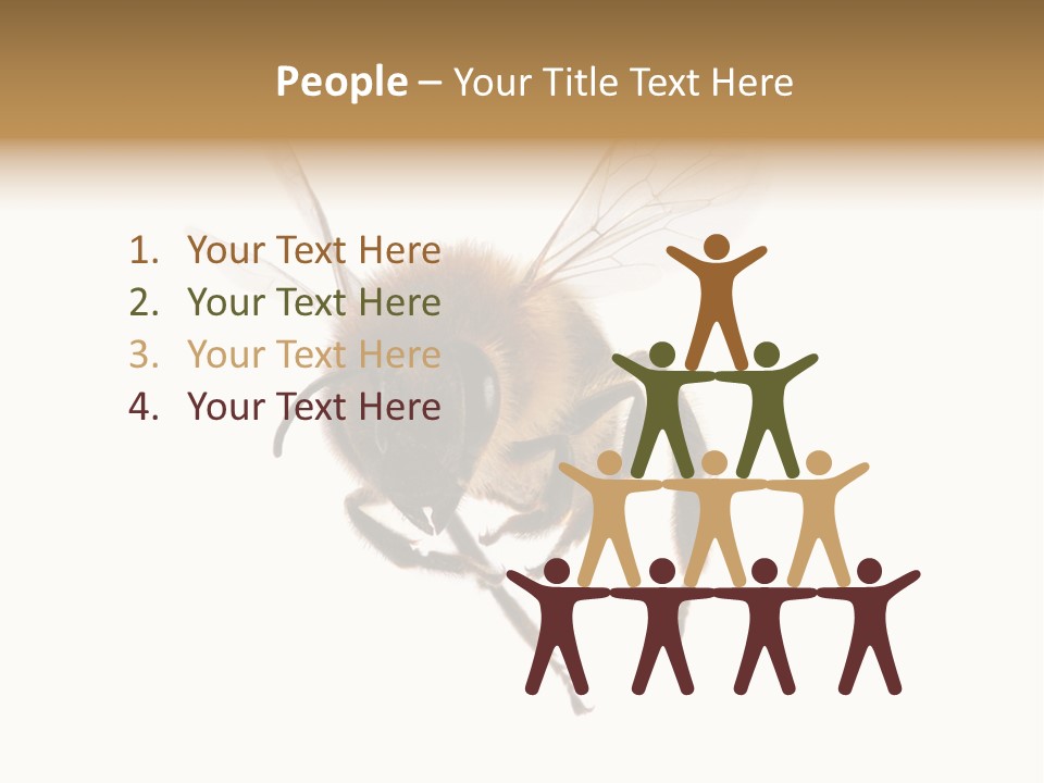 Wing Background Honey PowerPoint Template