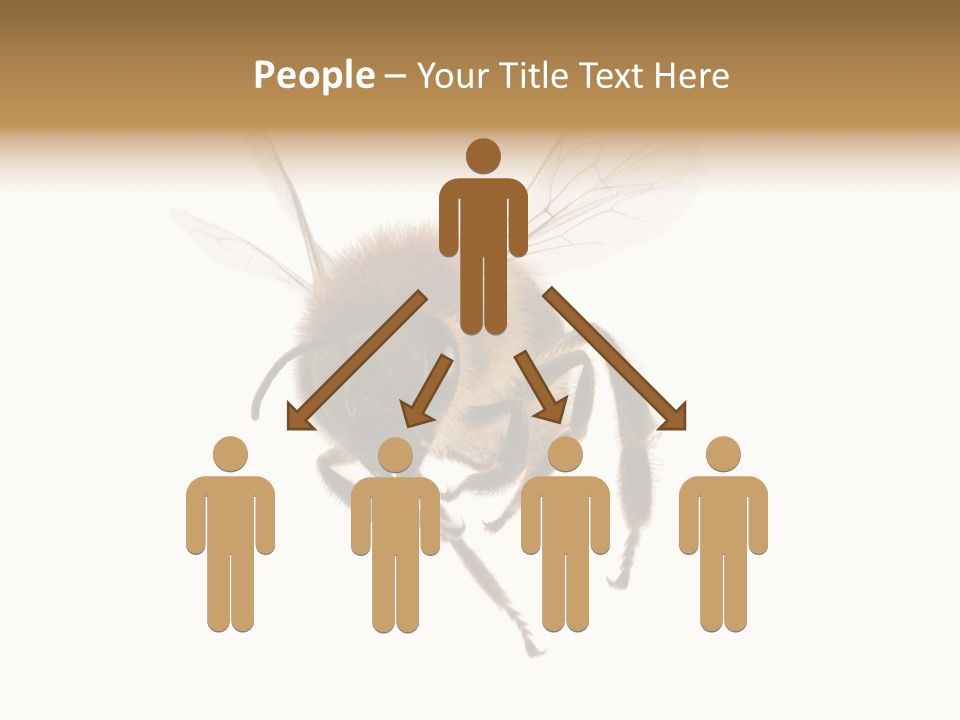 Wing Background Honey PowerPoint Template