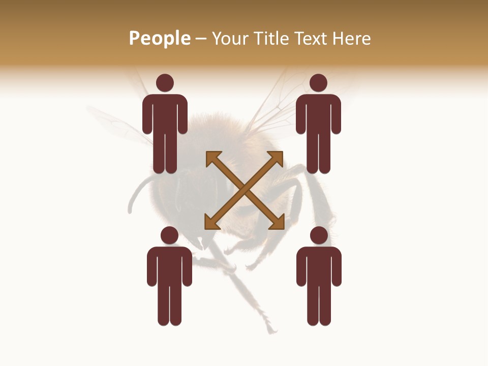 Wing Background Honey PowerPoint Template