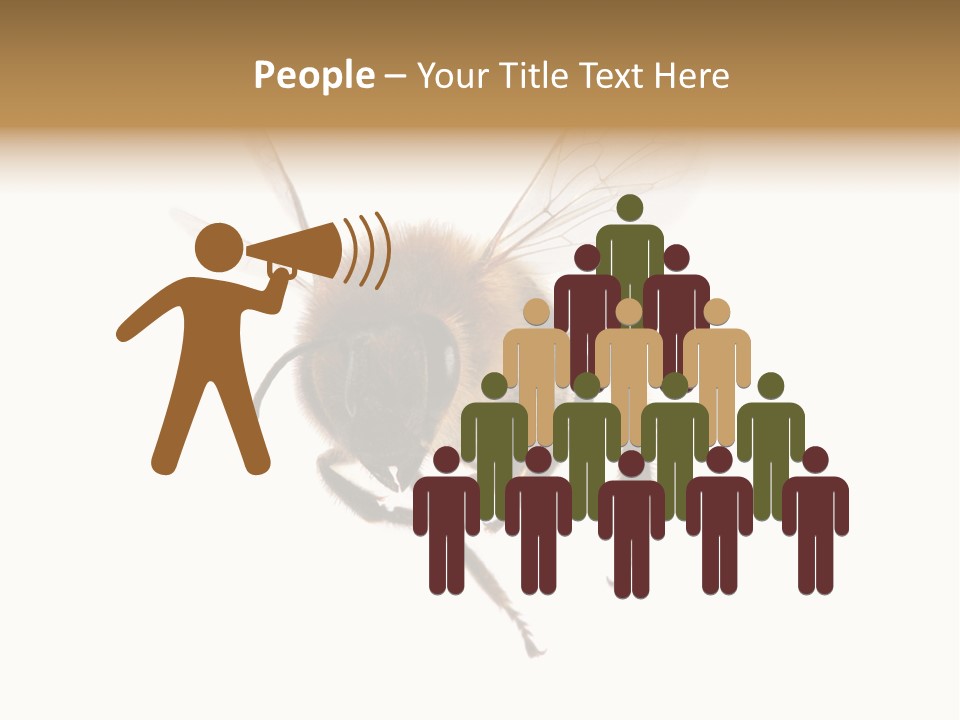 Wing Background Honey PowerPoint Template