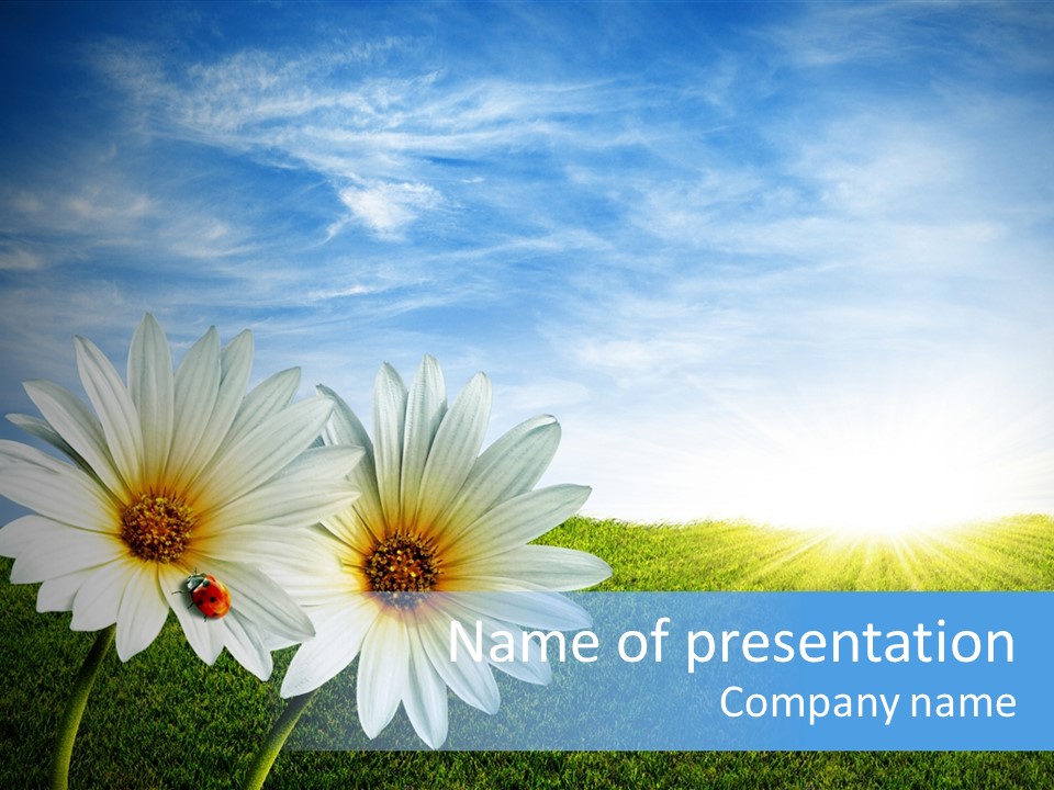 Grass Blue Lawn PowerPoint Template